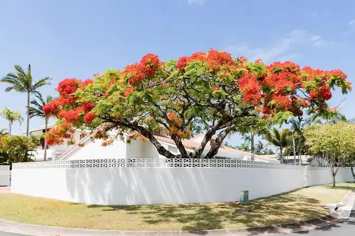 Βίλα Poinciana House—Luxury Noosa Retreat Close To Beach